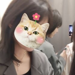 -蚂蚁造型俱乐部