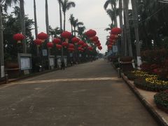 -万绿园