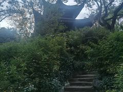 -双塔老饭店