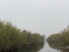 -白洋淀景区