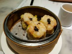 -糖朝(尖沙咀店)