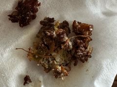 -宝瑞门钉肉饼店