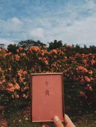 -婚礼美学