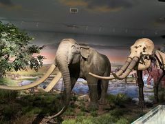 -湖南省地质博物馆