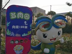 景点-菊园百果园