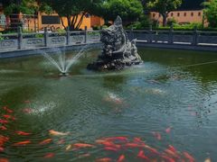 -会龙寺