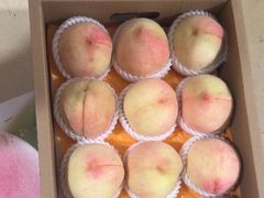 -老袁家蜜桃农场·阳山水蜜桃