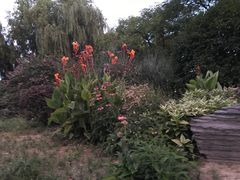 -九里河湿地公园
