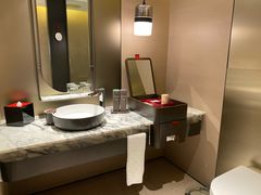 -新加坡瑞士史丹福酒店