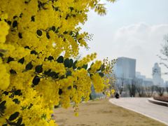 -桂溪生态公园