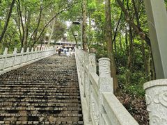 -老君山