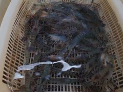 -御面斋精品面馆