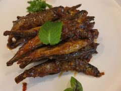 -南山鲜虾面·活鲜小馆·海味大连菜(南山总店)