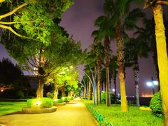 -厦门海湾公园游乐场