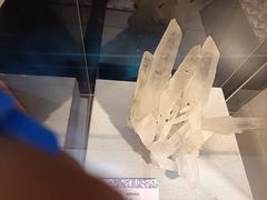 -天津自然博物馆