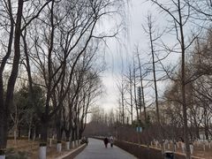 -大兴滨河森林公园