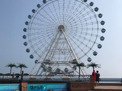 -秦皇岛乐岛海洋王国