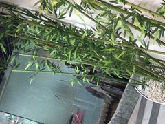 -樱花国际日语(徐家汇中心)