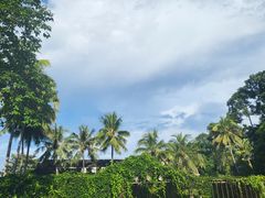 -中国科学院西双版纳热带植物园