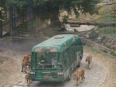 -深圳野生动物园