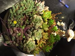 iphone_upload_pic-妈妈的味道(工人体育场东路店)