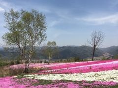 -鳌山滑雪度假区