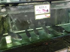 -钱大妈海鲜饭店(保利林语店)