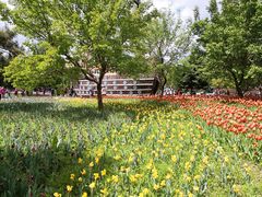 -长春公园(普阳街道)