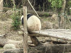 -宁波野生动物园
