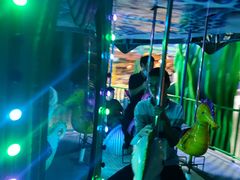 -青岛嘉年华主题乐园