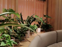 -云海肴云南菜(浦江欢乐颂店)