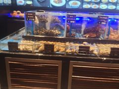 -百富源·海鲜辽菜(浑河堡店)