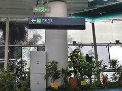 -厦门邮轮中心厦鼓码头(轮渡站)