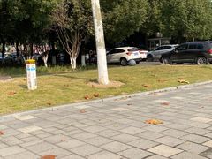 -金银湖国家城市湿地公园