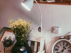 -西西这里民谣酒馆