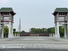 -王借岗森林公园