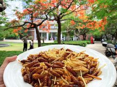 -缘生态云南菜·野生菌庭院餐厅(华侨城店)