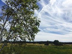 -塞罕坝国家级自然保护区