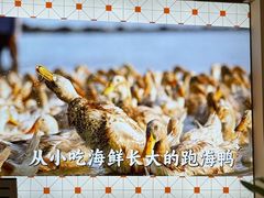 -虎婆冷饮店·海南特色炒冰(三亚湾店)