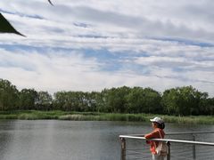 -永定河休闲森林公园