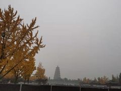 -大雁塔北广场音乐喷泉