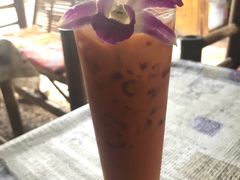 -Jungle Kitchen