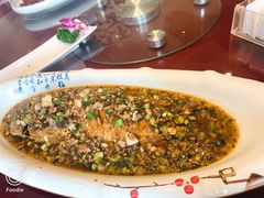 -胖大姐黄辣丁鱼庄(新津店)