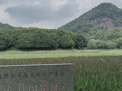 -八卦田遗址公园