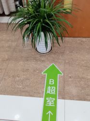 点击看大图 -杭州天目山妇产医院