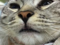 -达爱动物医院·犬猫分区·CT·复杂眼科(远洋山水分院)