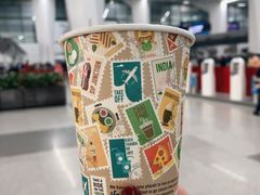 -英迪拉·甘地国际机场