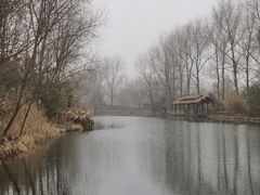 -溱湖国家湿地公园