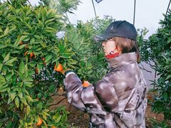 -上海华帆旗开比亚迪4S店(浦东北路店)