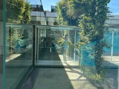 -金泽21世纪美术馆